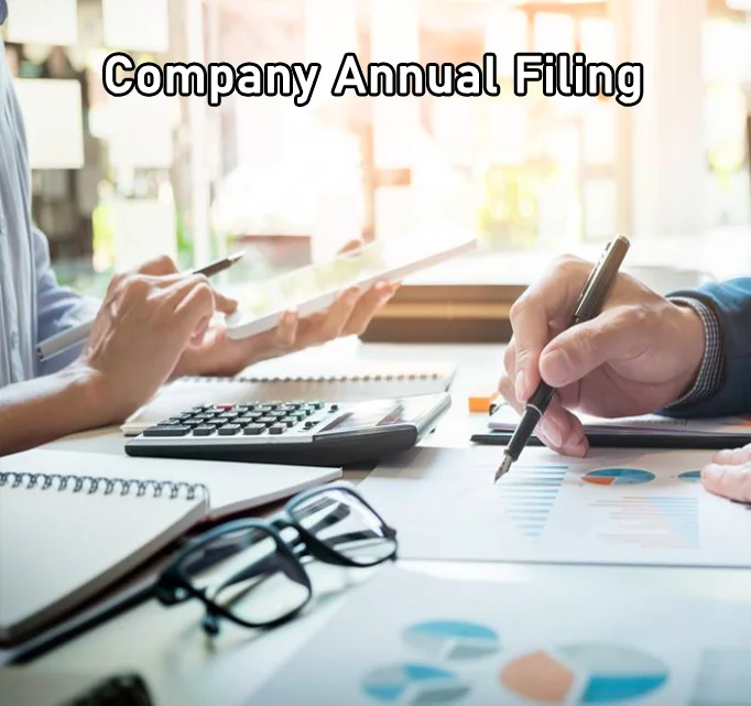 Company Annual Filing