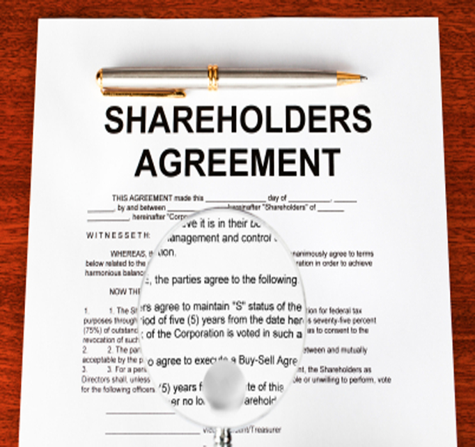 Shareholders Agreement Documents Service Provider in India